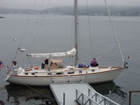 Skylark